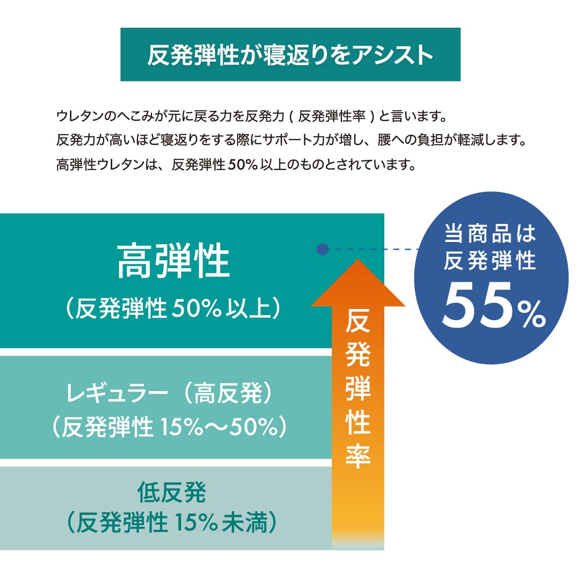 フォー ユア ヒップ – cellpur公式通販